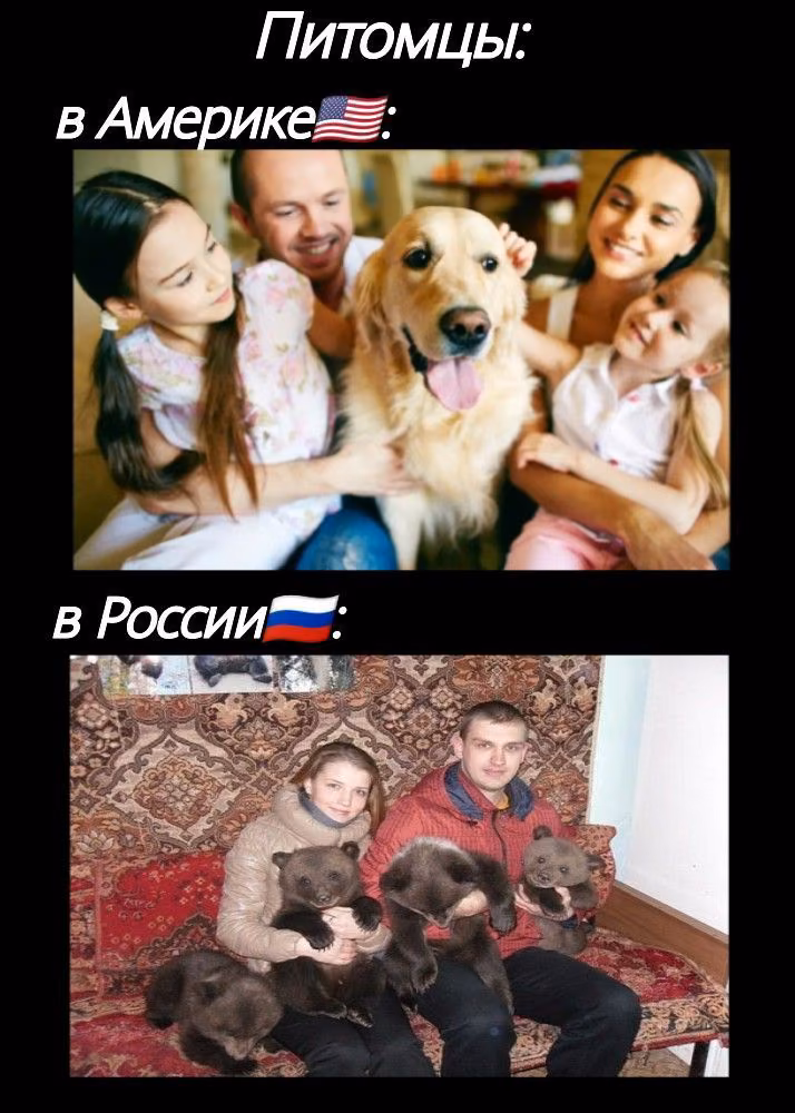 b467fed91c49c05a21f8e498a9940dd4.jpg