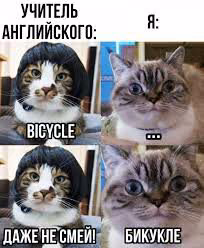 b46f77cd580a125ca558530efe81ff8e.jpg