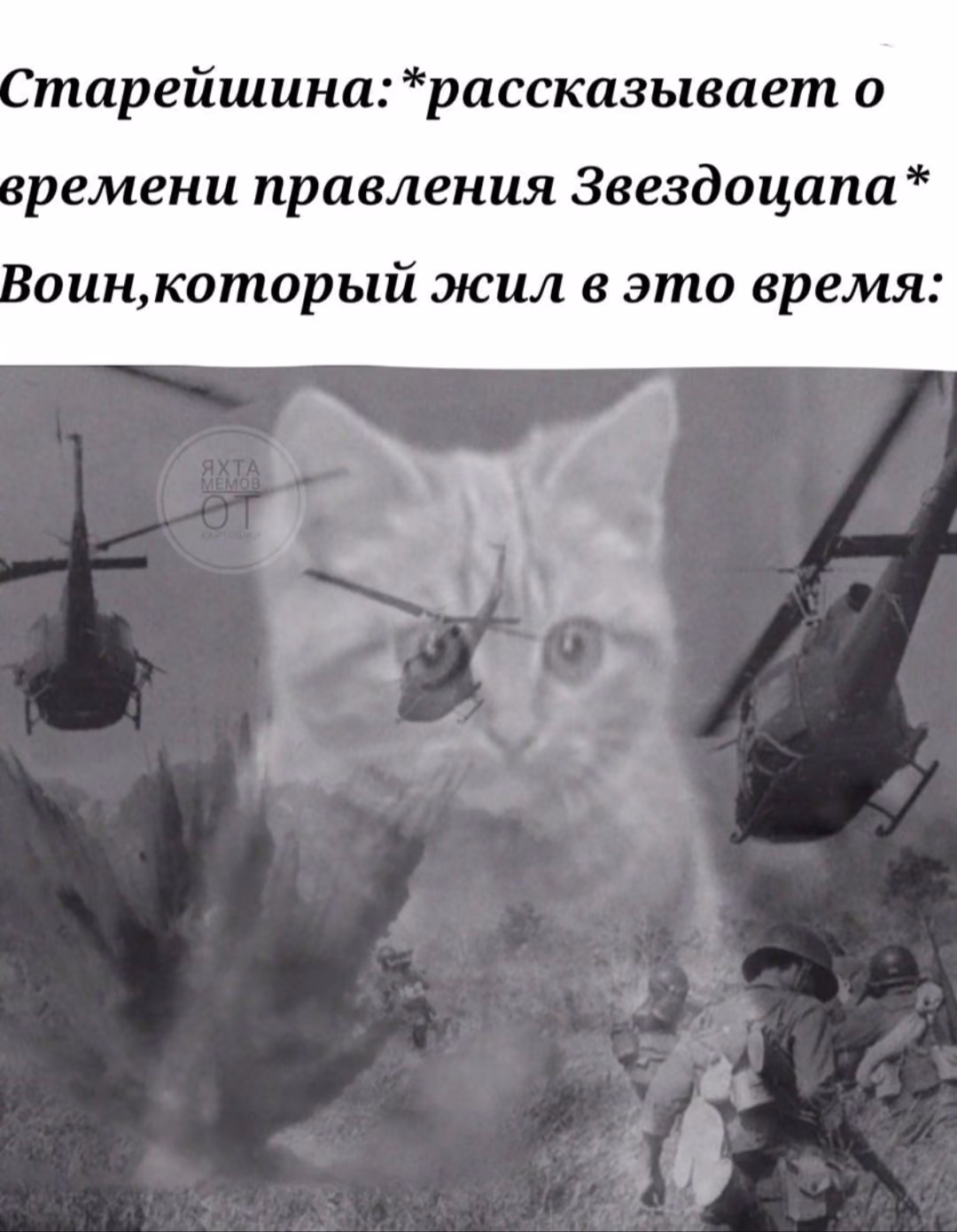 b47a50d8f69c20727adfa3e7ebc5b068.avif