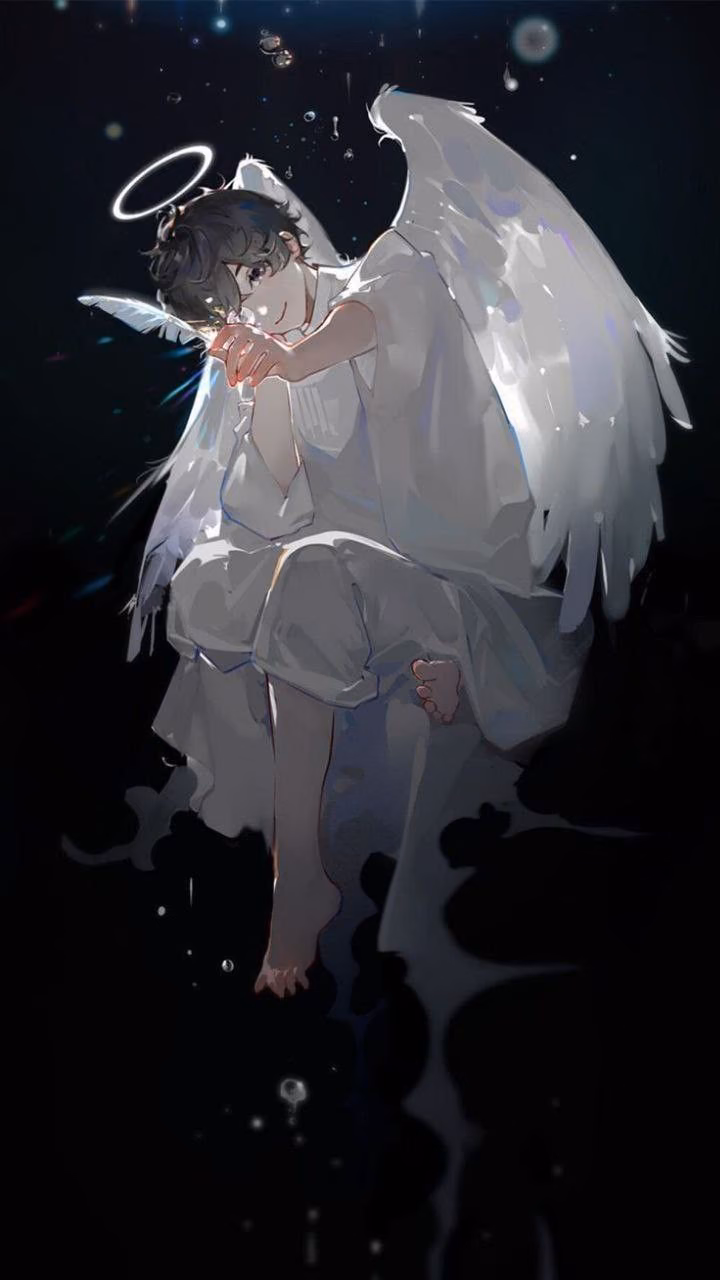 b47b04f2d299ce2b41ccbc475a4486c5.avif