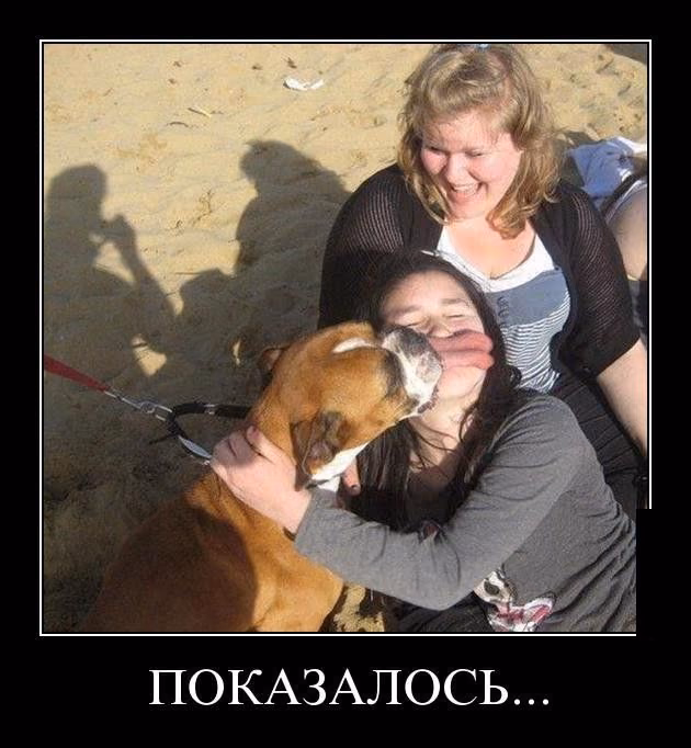b49141d66851dc9e90f29f5f642872e2.avif