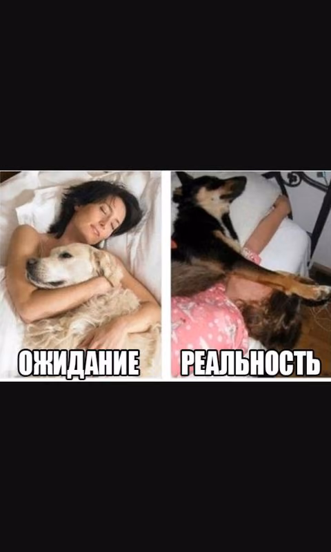 b4a75c7b2e01e9195a6aa26739eec6ee.jpg