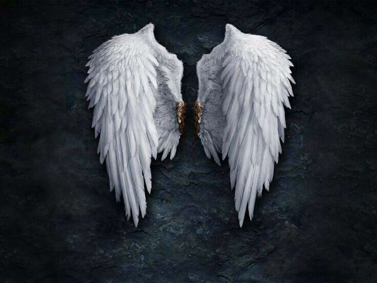 b4ab0a2a89e146e4edee5118614e57ce.avif