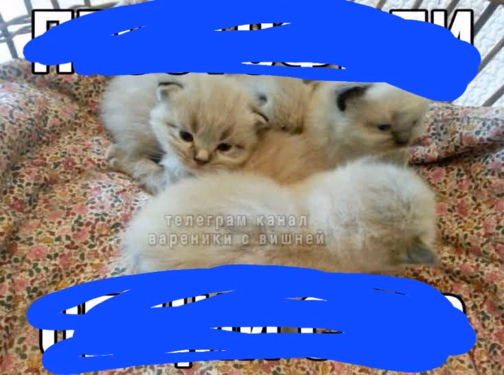 db4c05511ac11d72e6e45544ccbb0894.jpg