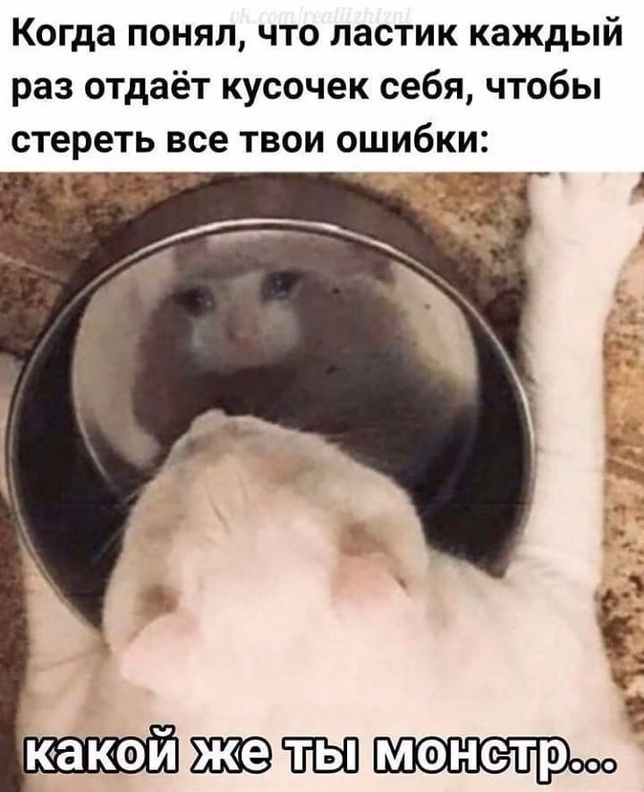 b4bffcdf75a33b4366016a9004e80071.avif
