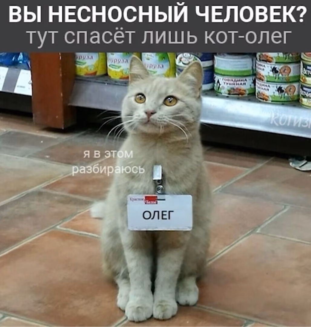 b4c0460e7c9b14b868ae839a0506ac22.jpg