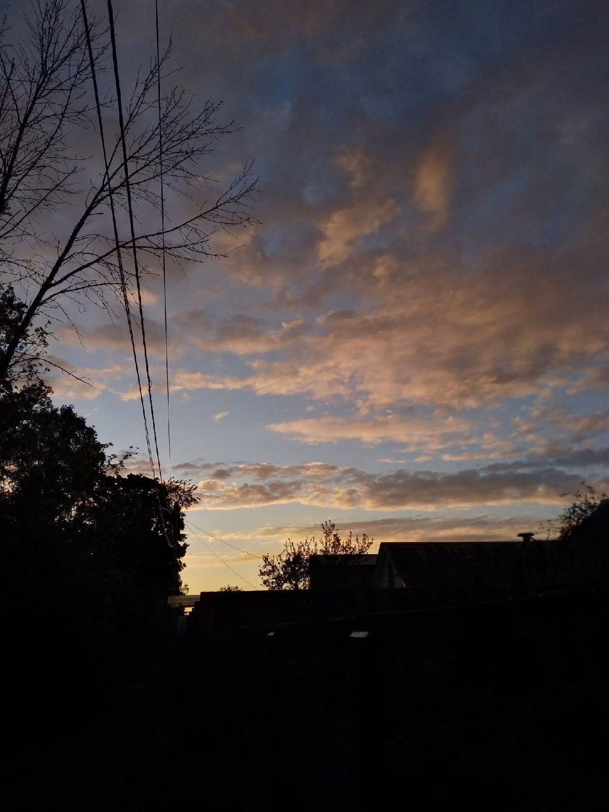 b4c61731dba6a246be8de8971242dfa4.jpg