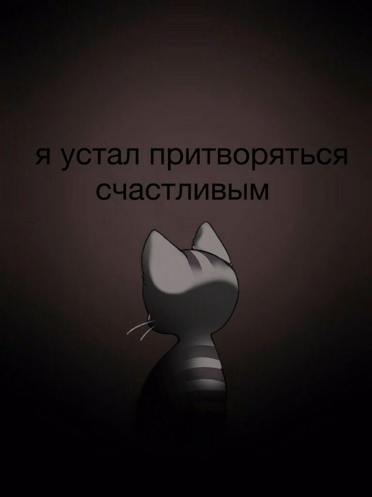 b4d561602082f066d3586506a8be5606.avif