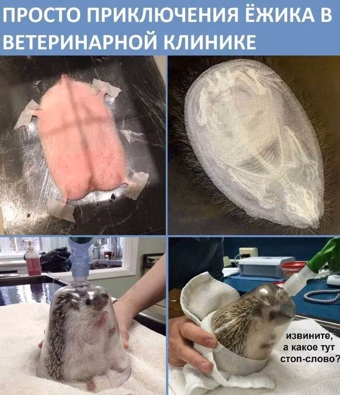 b4f0a96038c9855e1e5e0252ceba771a.avif