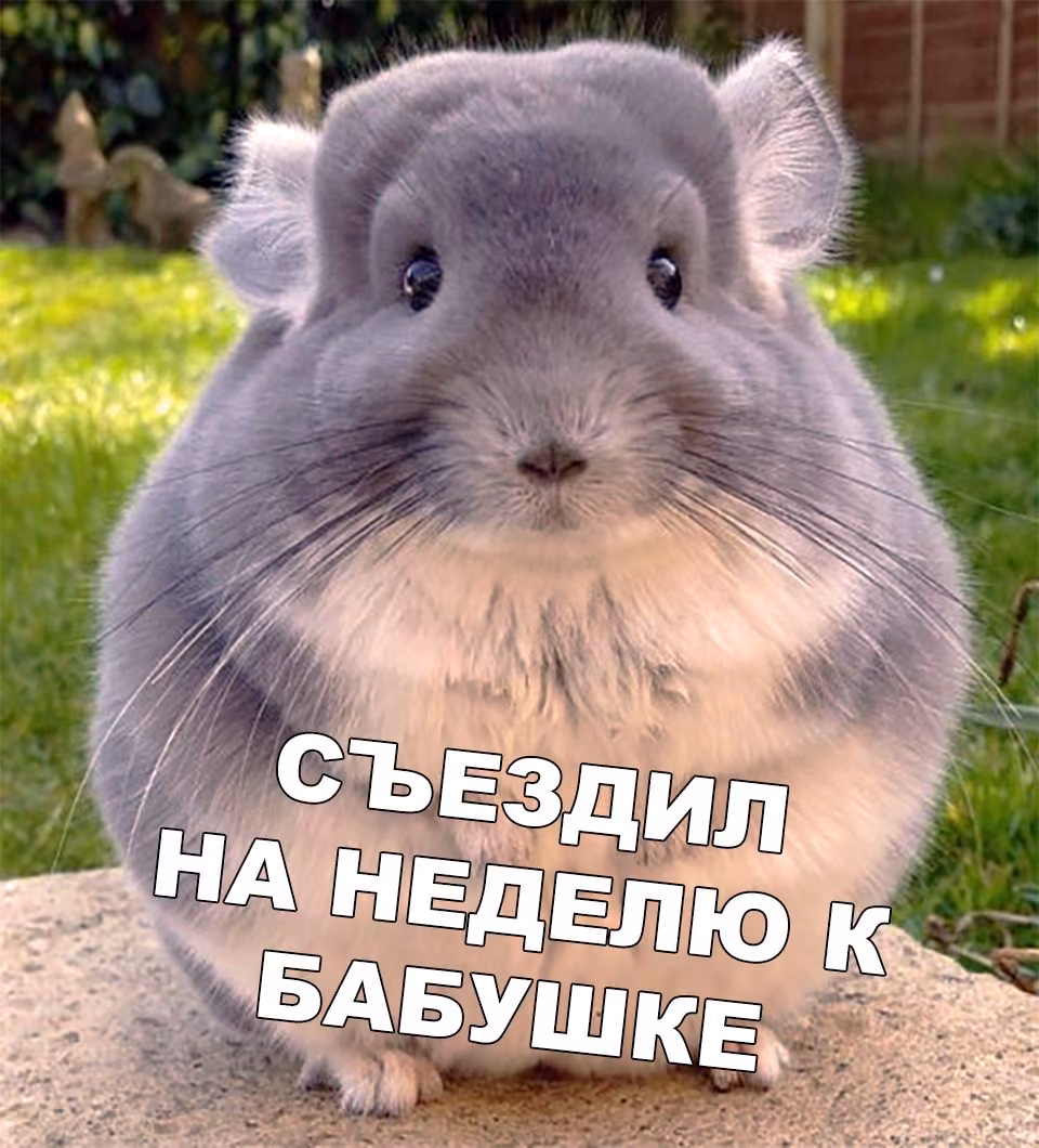b4f2bcf008318d41e39e7fae5f7d5624.jpg