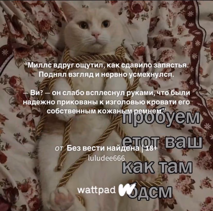b4f4f642dce5a4fcd0197b8e9e286bf9.avif