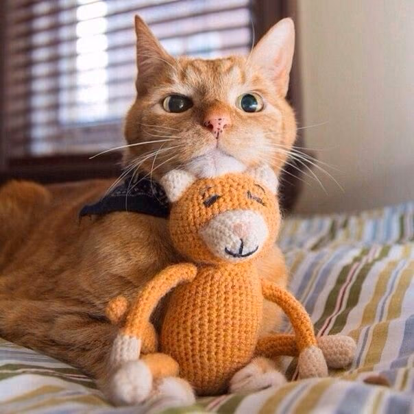 b4feab16b6ddb1fe369d796dcb0b1997.avif