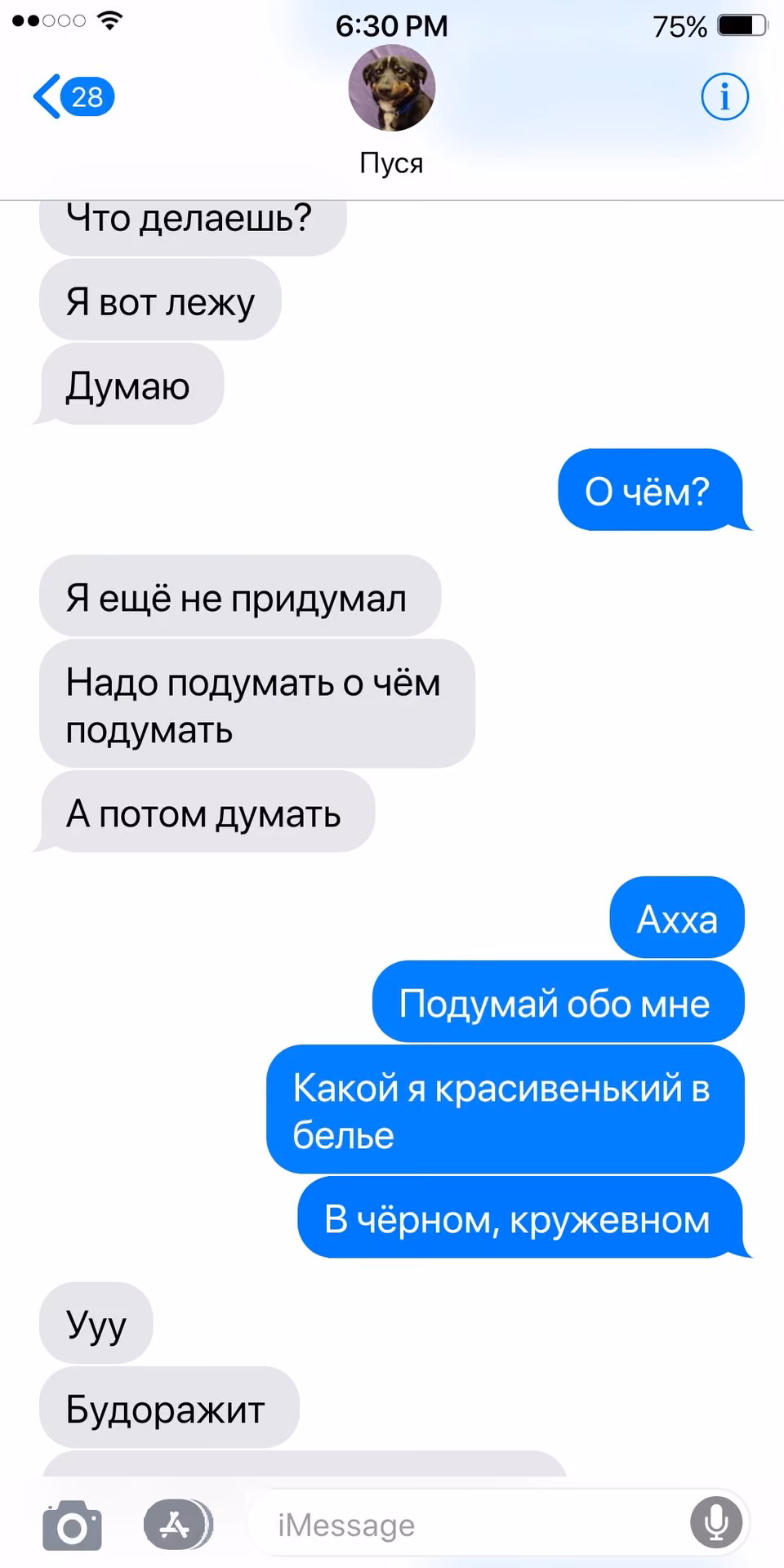 b5017ade61804664f2bff18d47a7e3b1.jpg