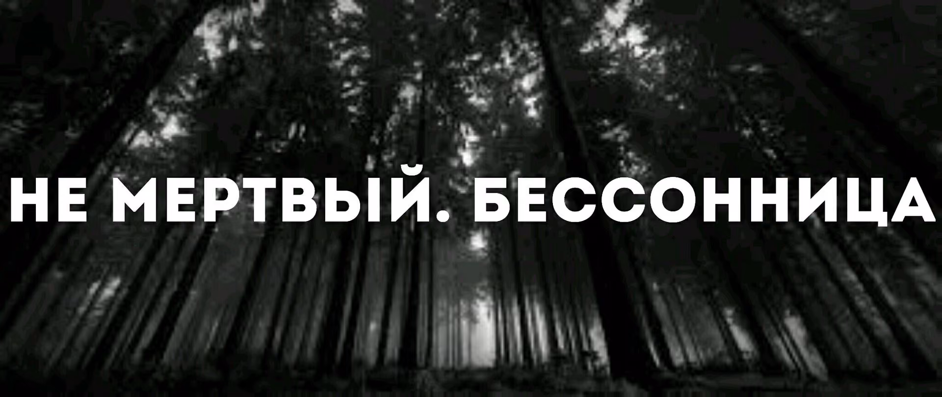 b503b81393328d1b8ea6e28e6f7ef93b.jpg