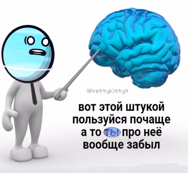 b50ccd3d5a4f7c787fee6ad5e5c60ab4.avif