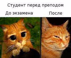 b5127d754c45b9112289bd6d54f47b60.jpg