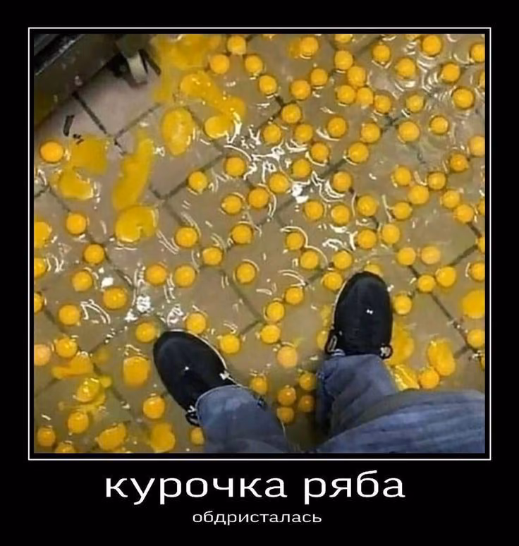 b51b71136d39bc70ae6c13bacbb34708.jpg