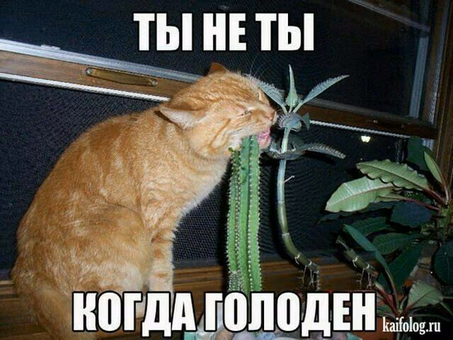 b521de54420721014756c42dc500bd28.jpg