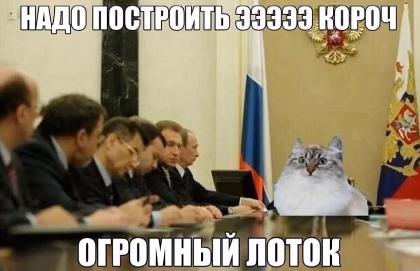 b53a2ff3f2bfb7565d45df5e89fc826b.jpg