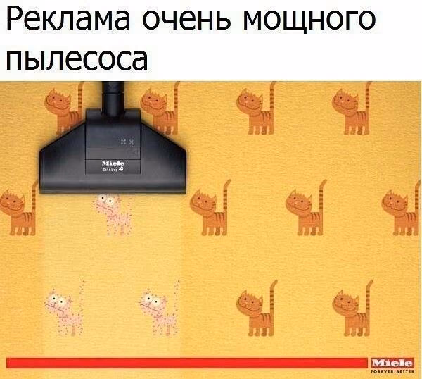 b53d3a9e7a7a03194fe119a72aa8f841.jpg