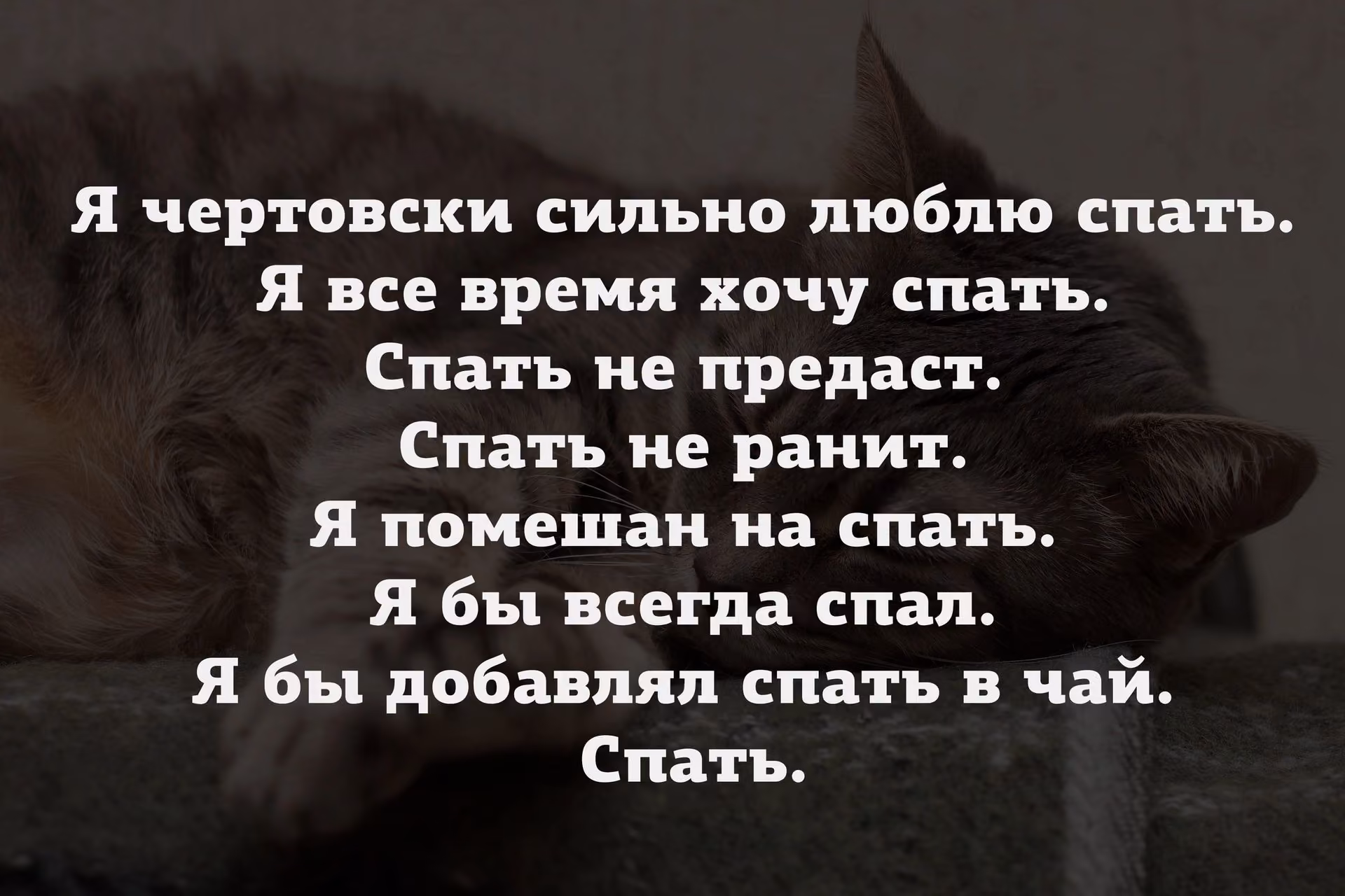 b54c1dc4689e9a136edc9b63ed0a602b.jpg
