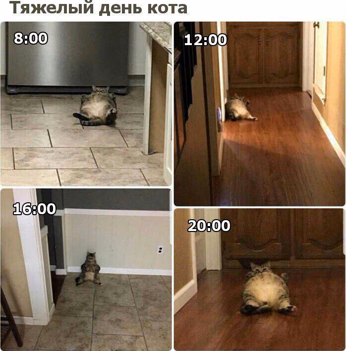 b576a2292cb75e968cd56500880b4b59.jpg