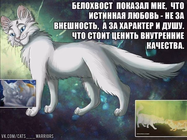 b5886ab80062c8251a4499188ad2c31f.avif