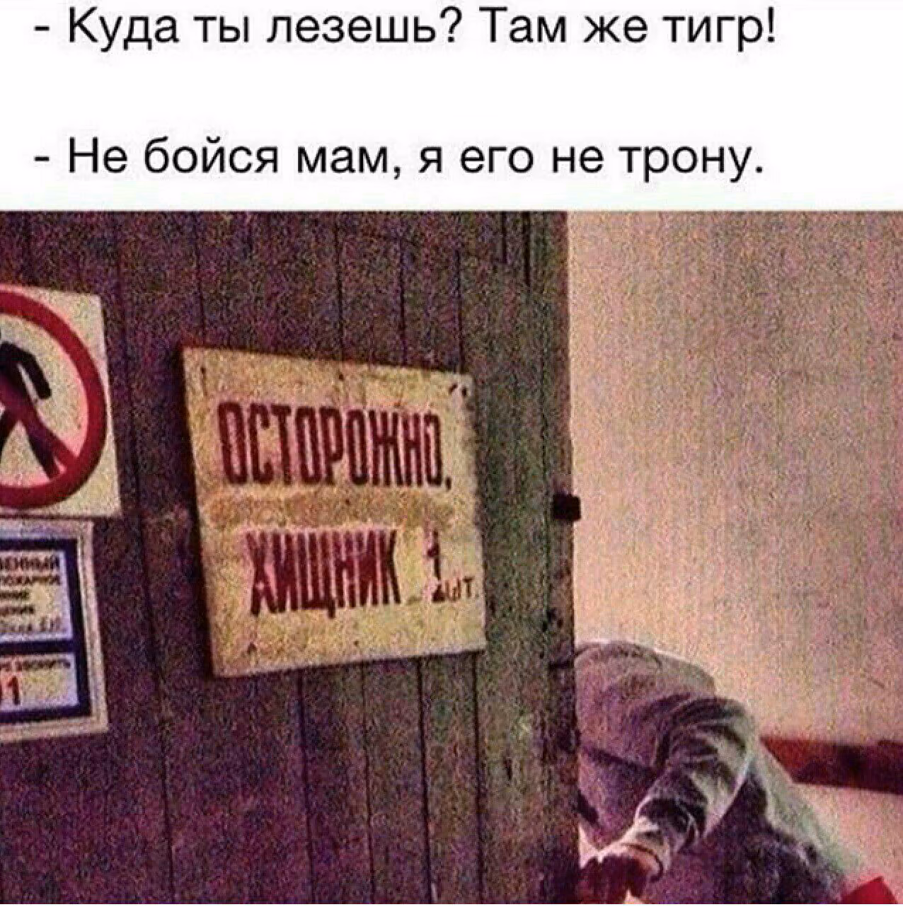 b5ab5e9f32d8cfc64c7141afec7e9bf9.jpg