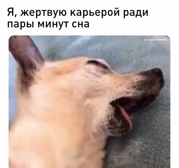 b5b6c9ac3d57a532c2d2ebcaa1fa0885.avif