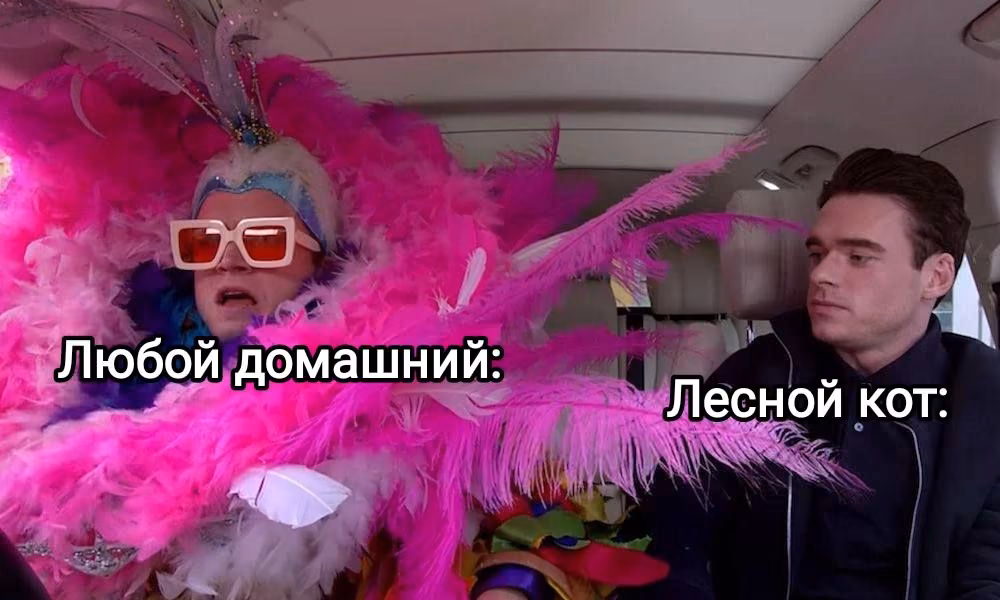 b5b76b6bc2ea3300c89f2e33bd2c3cd9.avif