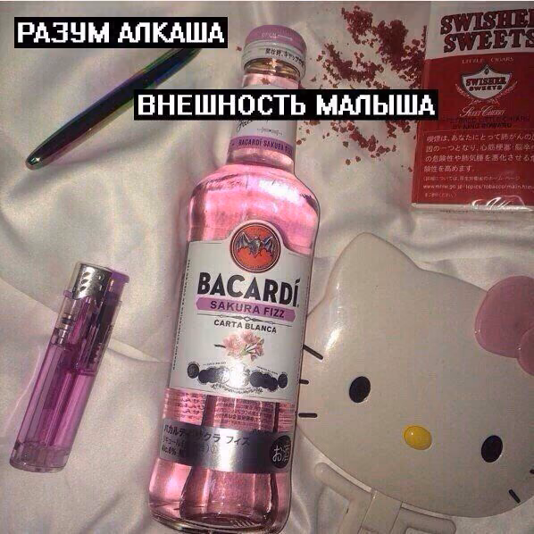 b5c86f71a7ee390dea94e65338ccb577.avif