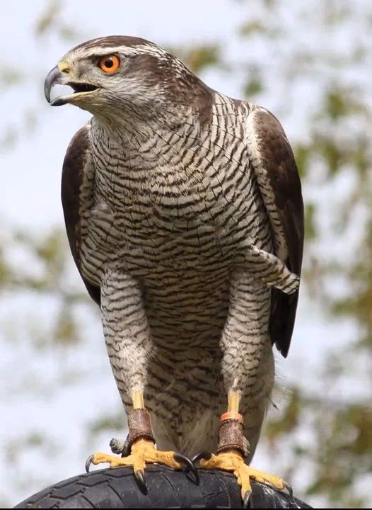 b5d155e97d34a37fd0a5fa0627cd2711.avif