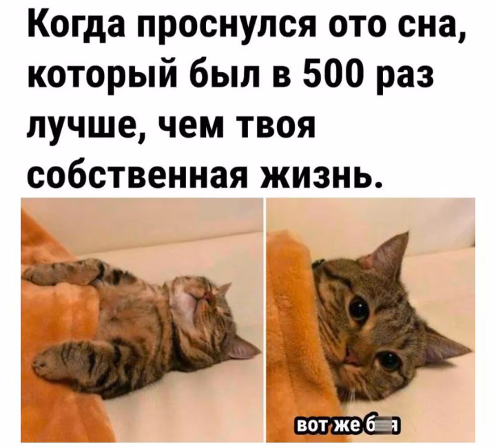 b5e2d35273ccd2ae8260883786989190.jpg