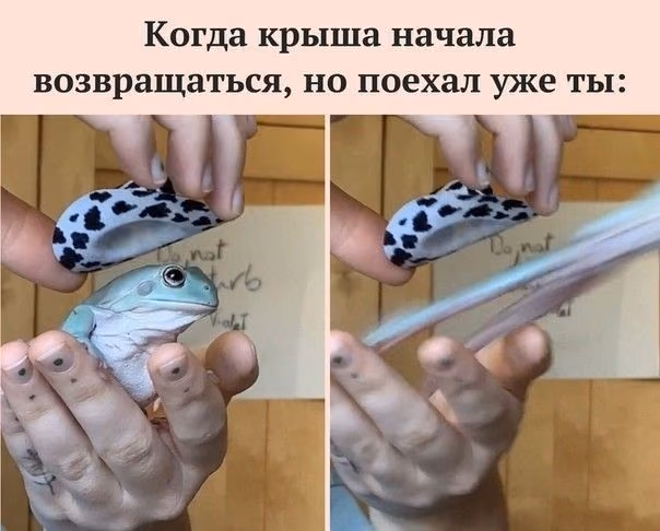b5f45ec31ed54ea3f66ae61296fe8f84.jpg