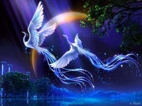 b5f50ce1135b2df0ab56a85a8ef887eb.avif