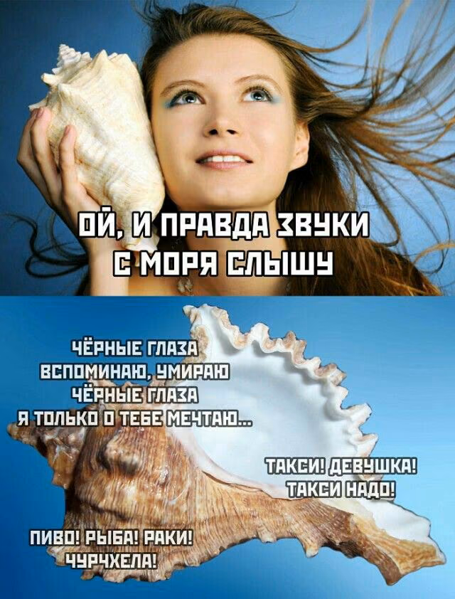 b5fe1e006aeef72ee1035027ee089663.jpg