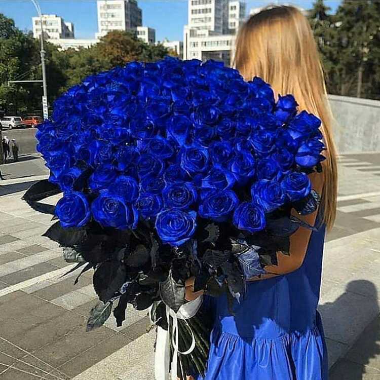 b5fe31bd8eefc0c831b5dd4b78ae8d24.jpg