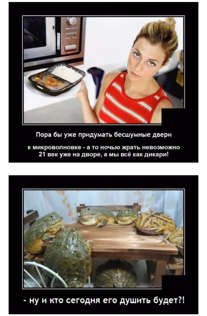 b611435e81f11d5aaa3619671fb2cebf.jpg