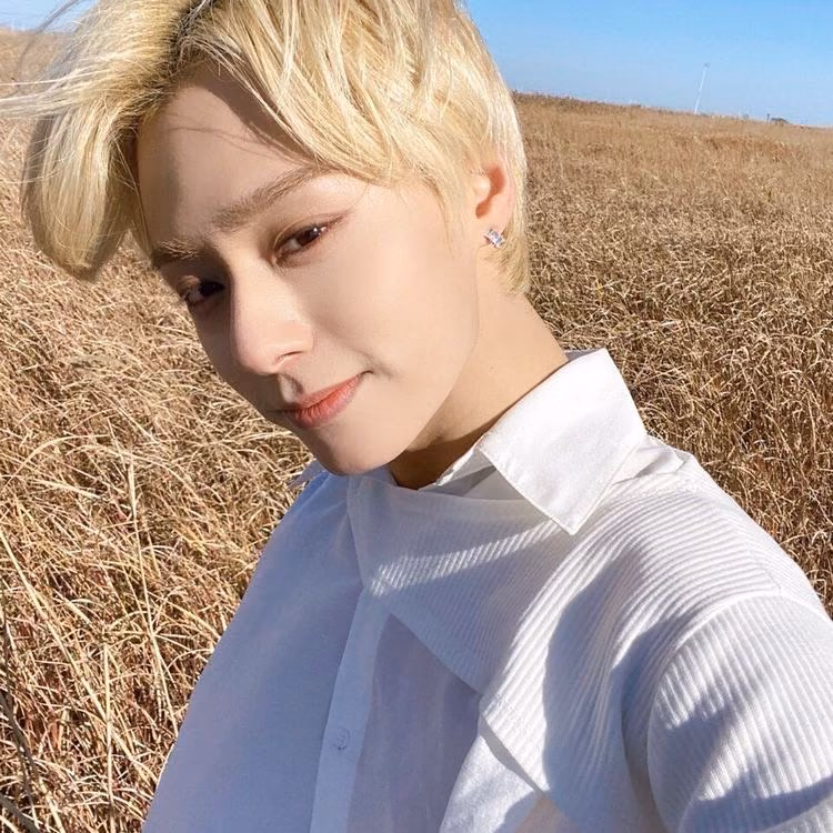 b62ae65f41f216cc937c5622659570b7.avif