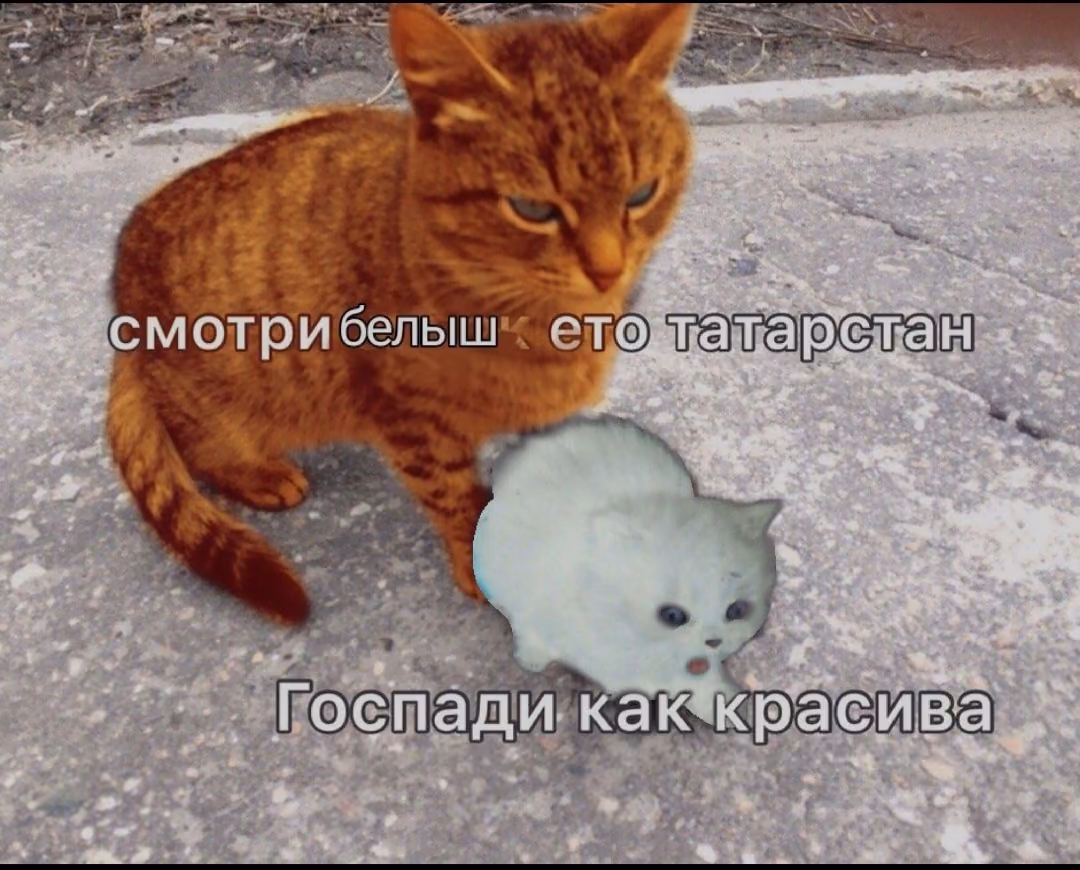 b630cfc7a739a03a44463f566b13c778.avif