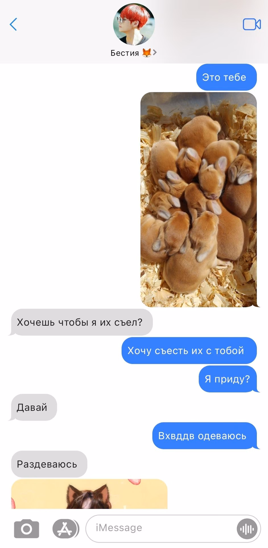 b63805abf5c6bea4654f3859d04a8d23.avif