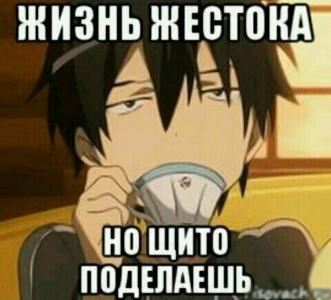 b63ec15d4f4155d94f457dc764ccbea6.avif