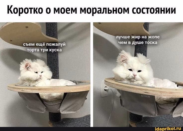 b64c96bb0a95b3909bd6b23b470046fc.avif
