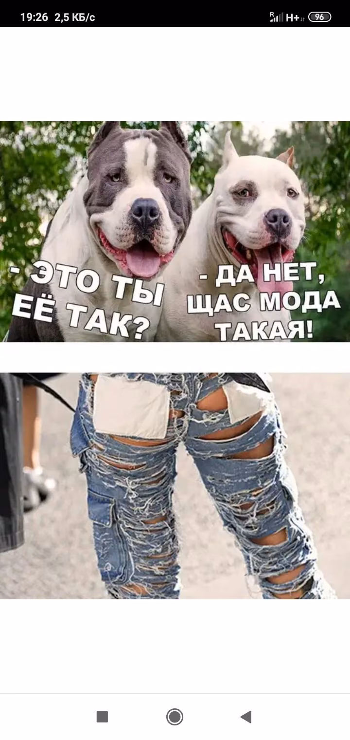 b660119305bf2a986b3b0a9fff9e02fb.avif