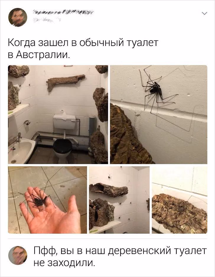b66563c991f2b60c472faae8b35faf28.avif