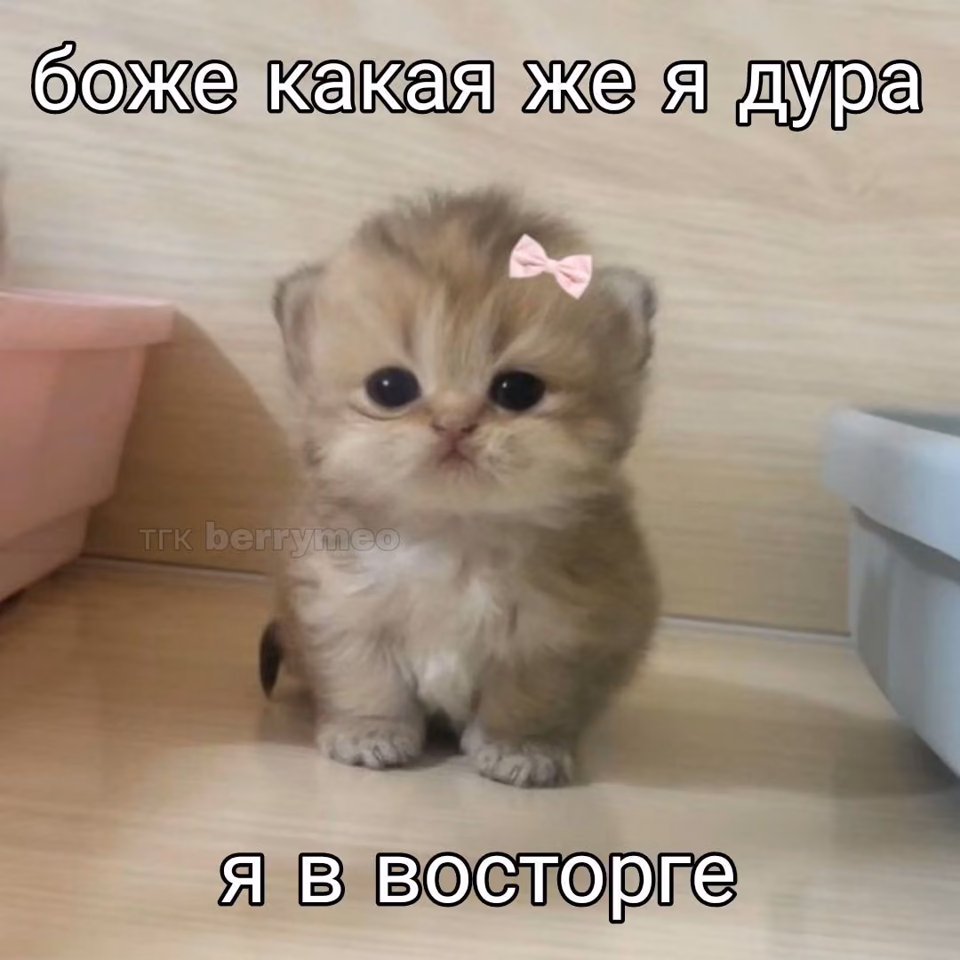 b6666bd05ae642a6e22176f96081c31e.jpg