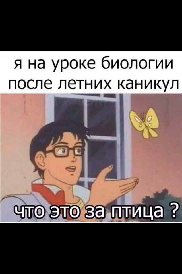b67a866e44058d514b887dda979bac86.jpg