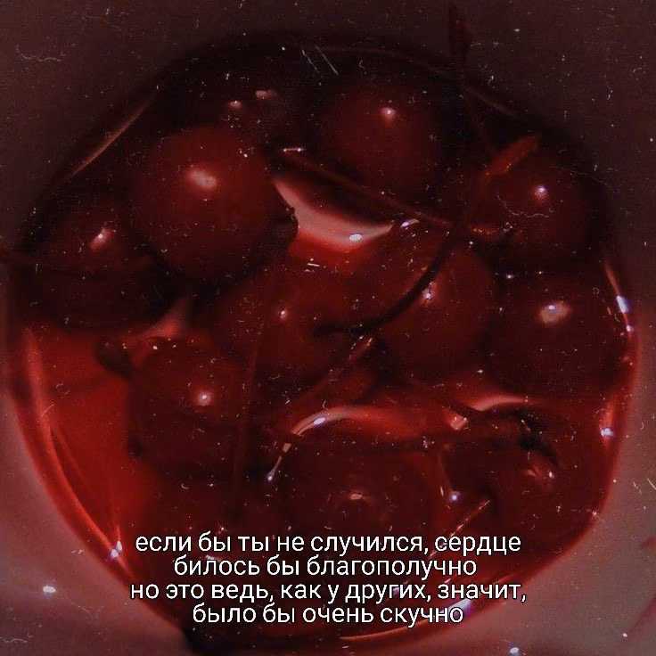 b67b8e747e0bedffb56c350ca0ebff72.avif