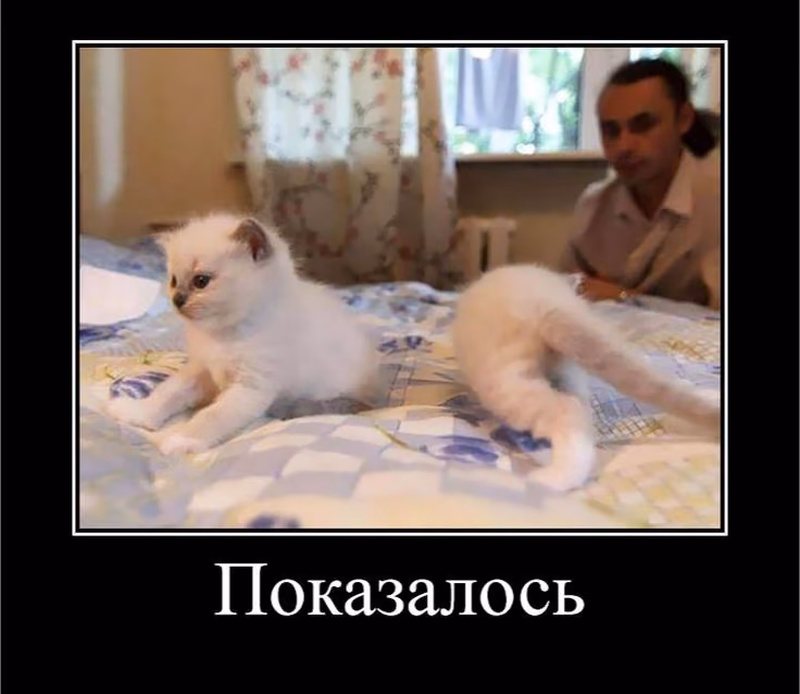 b68cf845a0a09afd900fe3543dea9024.jpg