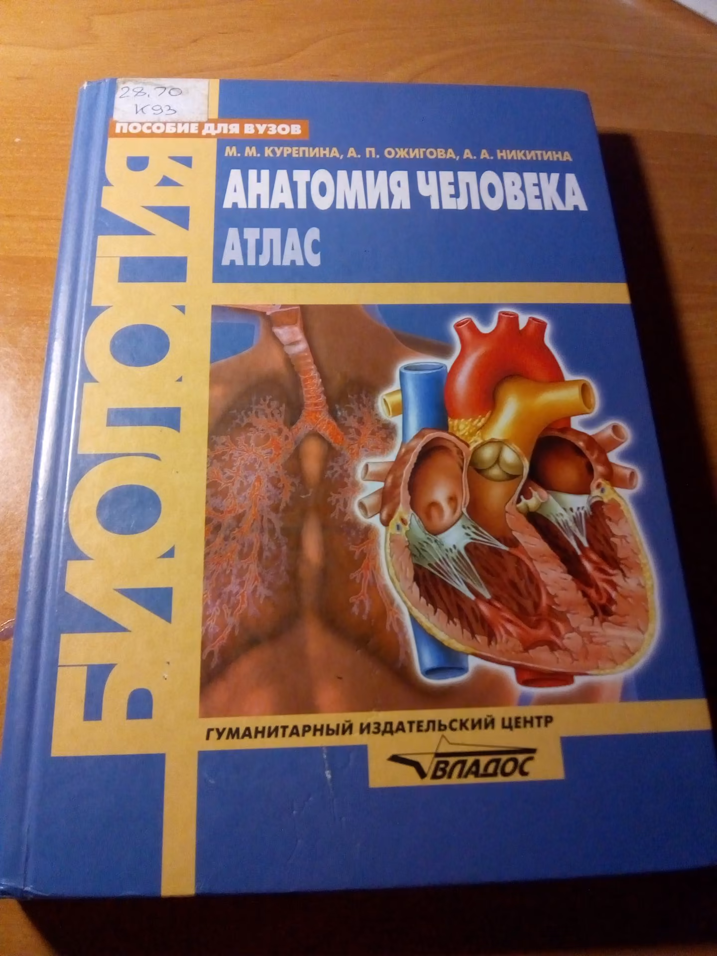 b68f7f661ebe59191d4bde5935782765.jpg